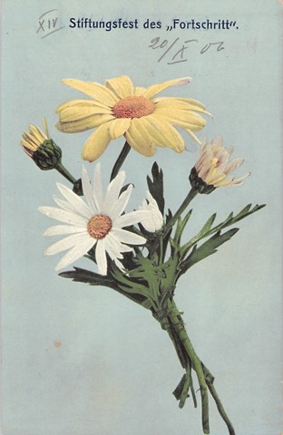 1906